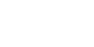 Solo Logo